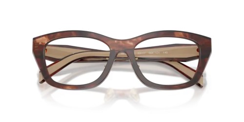 PRADA PR D11VD - 00K1O1 - 53 Cadres optiques Havane caramel Irrégulier
