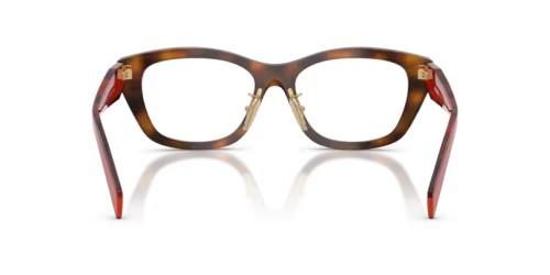 PRADA PR D11VD - 01K1O1 - 53 Cadres optiques Havane genévrier Irrégulier
