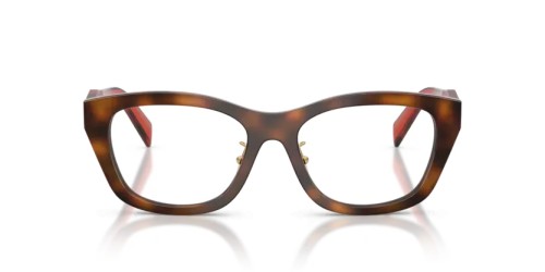 PRADA PR D11VD - 01K1O1 - 53 Cadres optiques Havane genévrier Irrégulier