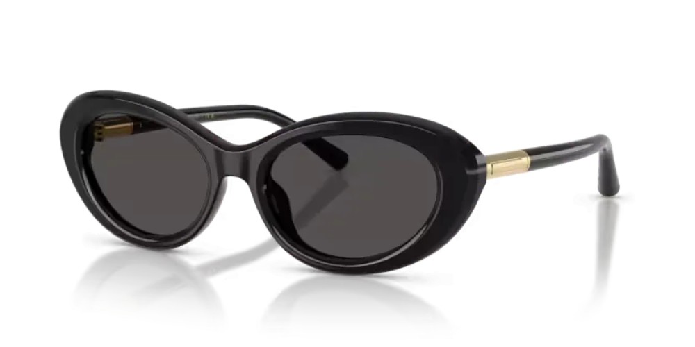 DOLCE & GABBANA DG4519 - 501/87 - 54 Lunettes de soleil Noir Ovale