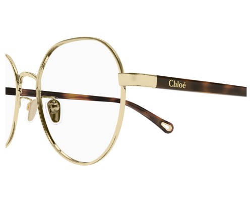 Chloé CH0246OA - 004 - 53 Cadres optiques Or, Havane Rond