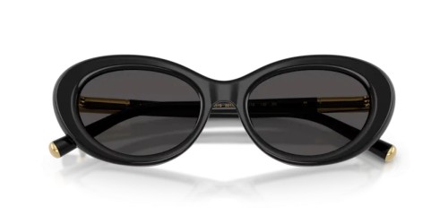 DOLCE & GABBANA DG4519 - 501/87 - 54 Lunettes de soleil Noir Ovale