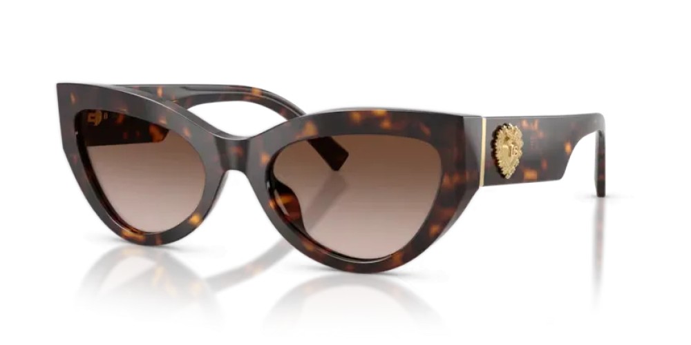 DOLCE & GABBANA DG4536 - 502/13 - 55 Lunettes de soleil Havane Œil de chat