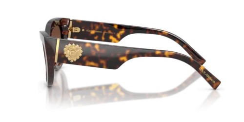 DOLCE & GABBANA DG4536 - 502/13 - 55 Lunettes de soleil Havane Œil de chat