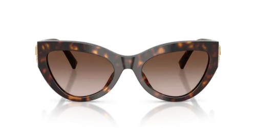 DOLCE & GABBANA DG4536 - 502/13 - 55 Lunettes de soleil Havane Œil de chat