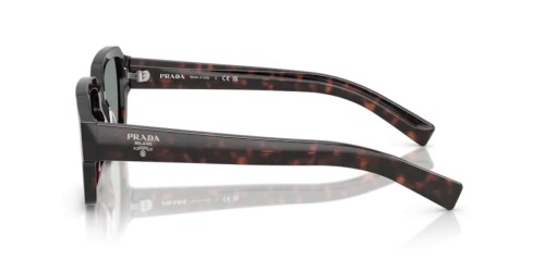 PRADA PR 02ZS - 17N20N - 52 Lunettes de soleil Racine écaille Angulaire
