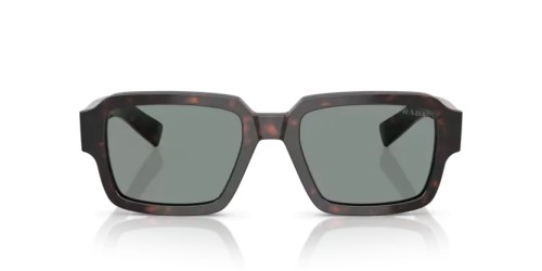PRADA PR 02ZS - 17N20N - 52 Lunettes de soleil Racine écaille Angulaire