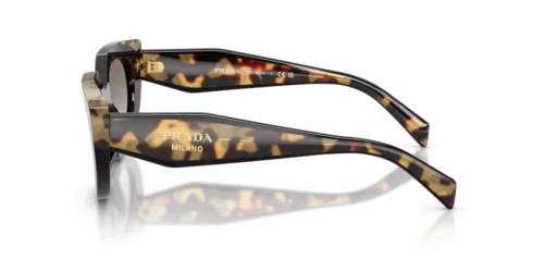 PRADA PR D02S - 0CD80L - 53 Lunettes de soleil Noir/écaille moyenne Ovale