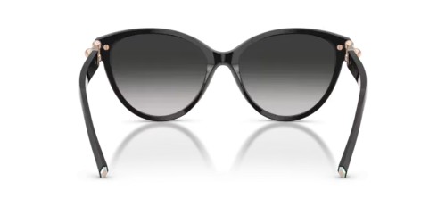 TIFFANY & CO. TF4261 - 80013C - 56 Lunettes de soleil Noir Œil de chat
