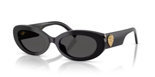 DOLCE & GABBANA - Lunettes de soleil - DG4537 - 501/87 - 53