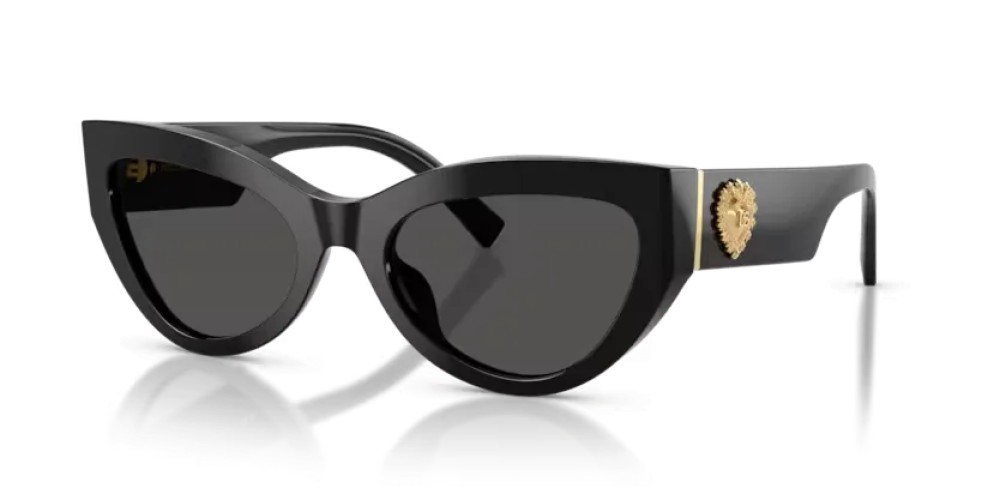 DOLCE & GABBANA DG4536 - 501/87 - 55 Lunettes de soleil Noir Œil de chat