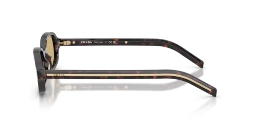 PRADA PR D06S - 17N70R - 50 Lunettes de soleil Racine écaille Ovale