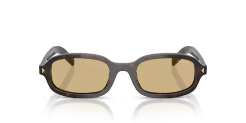 PRADA PR D06S - 17N70R - 50 Lunettes de soleil Racine écaille Ovale