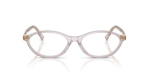 MIU MIU MU 09XV - 12W1O1 - 53 Cadres optiques Mauve transparent Ovale