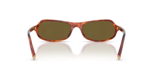 MIU MIU MU B10SU - 11P09Z - 55 Lunettes de soleil Havane, Cognac Irrégulier