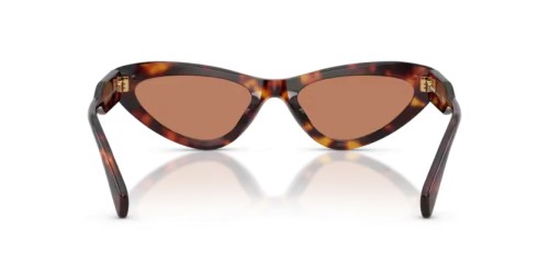 MIU MIU MU B11SU - 27L90Q - 55 Lunettes de soleil Havane Œil de chat