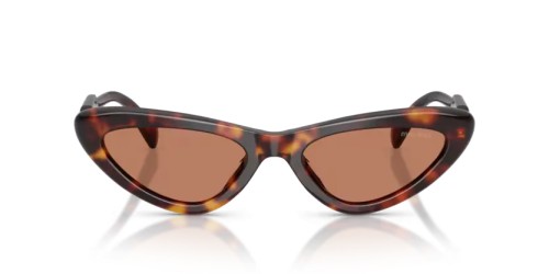 MIU MIU MU B11SU - 27L90Q - 55 Lunettes de soleil Havane Œil de chat