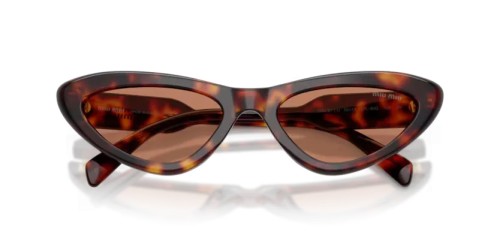 MIU MIU MU B11SU - 27L90Q - 55 Lunettes de soleil Havane Œil de chat