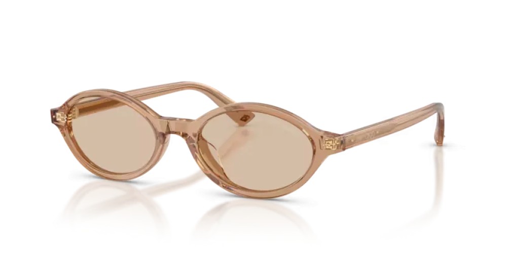 Jimmy Choo JC5068U - 507693 - 51 Lunettes de soleil Transparent marron Ovale
