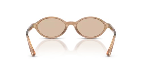 Jimmy Choo JC5068U - 507693 - 51 Lunettes de soleil Transparent marron Ovale