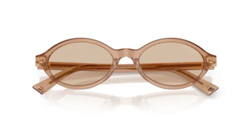 Jimmy Choo JC5068U - 507693 - 51 Lunettes de soleil Transparent marron Ovale
