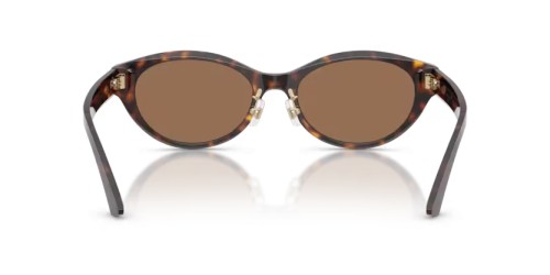 Jimmy Choo JC5064D - 500273 - 55 Lunettes de soleil Havane Ovale