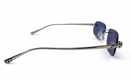 Cartier CT0494O with Custom Lens - 002 - 55 Lunettes de soleil Argent Arrondi