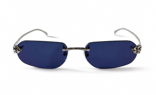 Cartier CT0494O with Custom Lens - 002 - 55 Lunettes de soleil Argent Arrondi