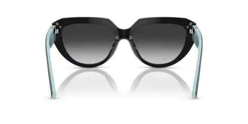 TIFFANY & CO. TF4238U - 84653C - 55 Lunettes de soleil Noir Coussin