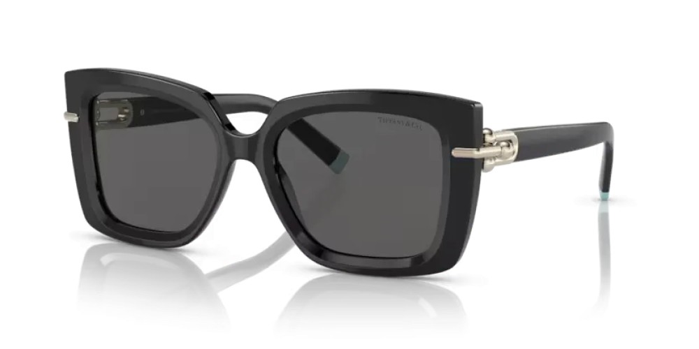 TIFFANY & CO. TF4199 - 8001S4 - 53 Lunettes de soleil Noir Papillon