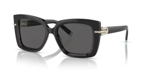 TIFFANY & CO. - Lunettes de soleil - TF4199 - 8001S4 - 53