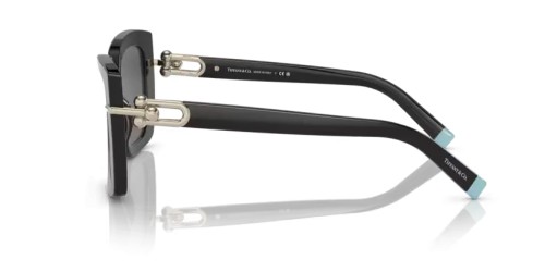 TIFFANY & CO. TF4199 - 8001S4 - 53 Lunettes de soleil Noir Papillon