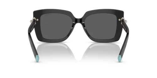 TIFFANY & CO. TF4199 - 8001S4 - 53 Lunettes de soleil Noir Papillon