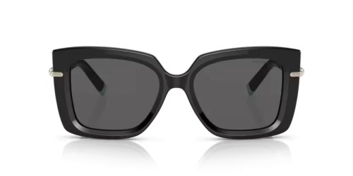 TIFFANY & CO. TF4199 - 8001S4 - 53 Lunettes de soleil Noir Papillon
