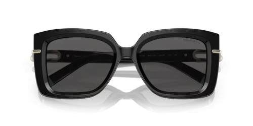 TIFFANY & CO. TF4199 - 8001S4 - 53 Lunettes de soleil Noir Papillon