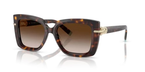 TIFFANY & CO. - Lunettes de soleil - TF4199 - 80153B - 53
