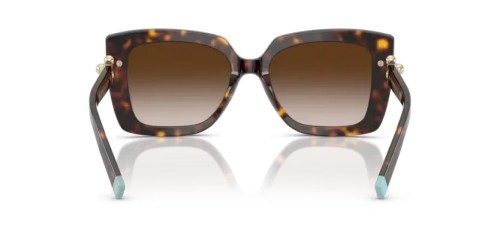TIFFANY & CO. TF4199 - 80153B - 53 Lunettes de soleil Havane Papillon