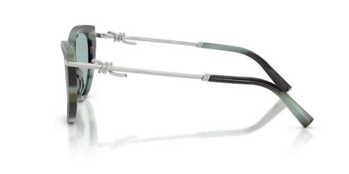 TIFFANY & CO. TF4253 - 84437C - 55 Lunettes de soleil Rayé noir tiffany Œil de chat