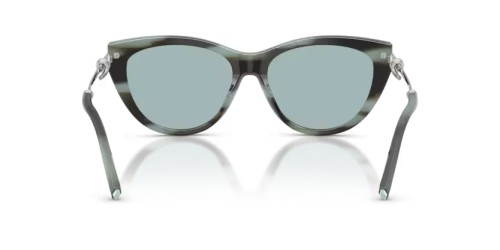 TIFFANY & CO. TF4253 - 84437C - 55 Lunettes de soleil Rayé noir tiffany Œil de chat