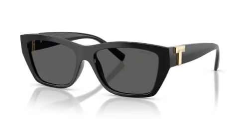 TIFFANY & CO. - Lunettes de soleil - TF4255U - 8001S4 - 56