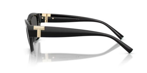 TIFFANY & CO. TF4255U - 8001S4 - 56 Lunettes de soleil Noir Rectangle
