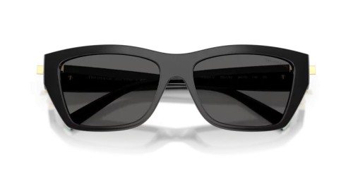TIFFANY & CO. TF4255U - 8001S4 - 56 Lunettes de soleil Noir Rectangle