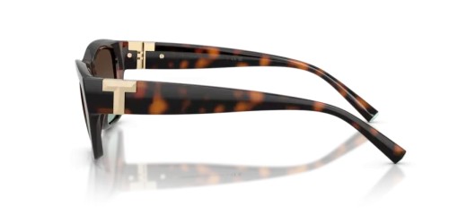 TIFFANY & CO. TF4255U - 80155D - 56 Lunettes de soleil Havane Rectangle