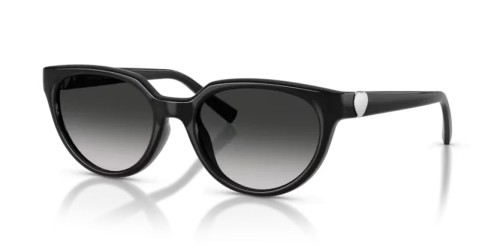 TIFFANY & CO. - Lunettes de soleil - TF4256D - 80013C - 55