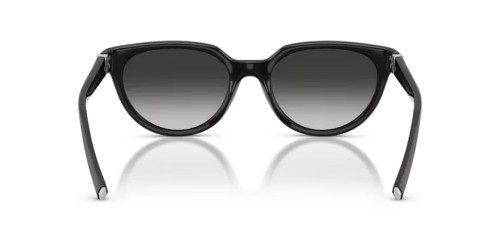 TIFFANY & CO. TF4256D - 80013C - 55 Lunettes de soleil Noir Œil de chat