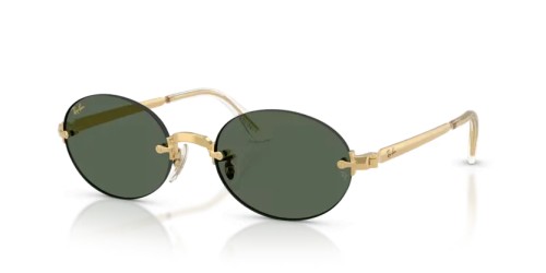 Ray-Ban - Lunettes de soleil - RB3929 - 001/71 - 54