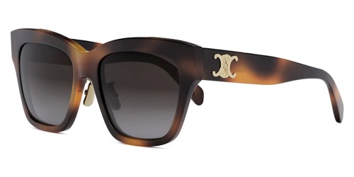 Celine CL40253F - 53K - 55 Lunettes de soleil Square
