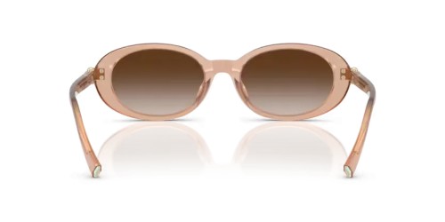 TIFFANY & CO. TF4242D - 82683B - 54 Lunettes de soleil Nude opalin Ovale