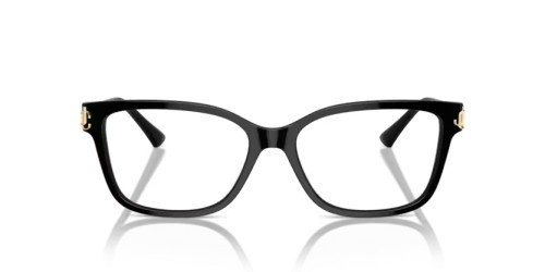 Jimmy Choo JC3012 - 5000 - 55 Cadres optiques Noir Coussin