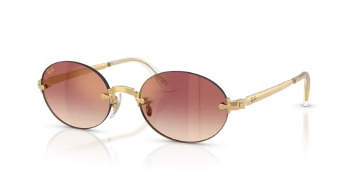 Ray-Ban - Lunettes de soleil - RB3929 - 001/8H - 54